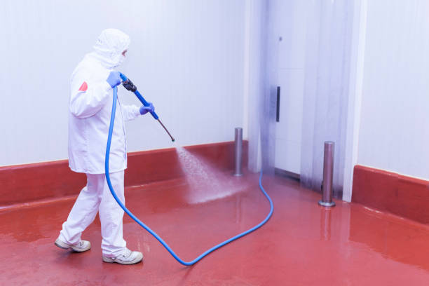 Best Patio and Deck Pressure Washing  in Bethel Rk, PA